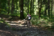 Bild-082