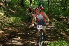 Bild-100