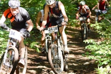 Bild-118