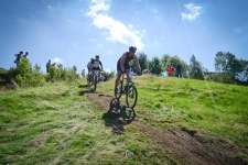 Bild-153
