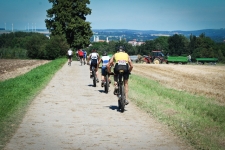 Bild-175