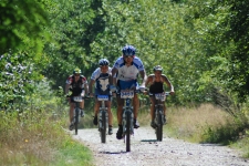 Bild-180