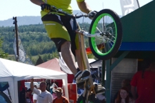 Bild-222