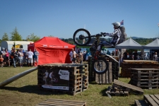 Bild-223
