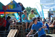 Bild-231