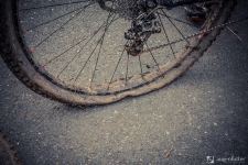 O-SEE-Challenge_Augenfutter-181