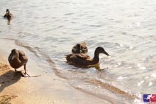 sportograf-53308742_lowres