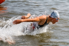 2014-08-15_11-59-46-klein_wz