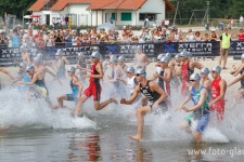 2014-08-16_10-51-55-2-klein_wz