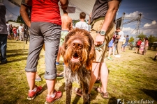 2016-08-20_O-SEE_Challenge_Copyrigt_augen-futter.com-7748